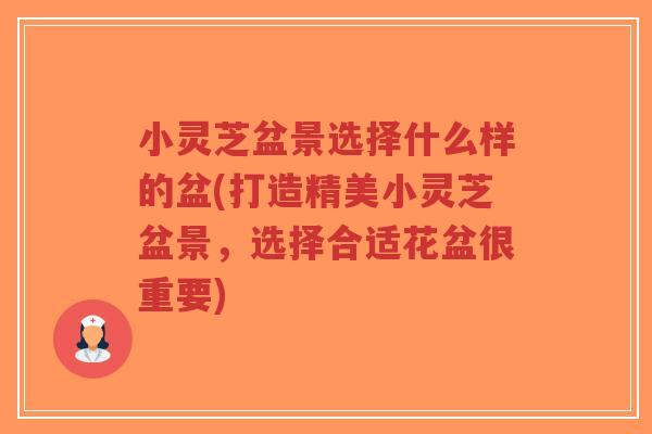 小灵芝盆景选择什么样的盆(打造精美小灵芝盆景,选择合适花盆很重要)-第1张图片-超越 小灵芝盆景选择什么样的盆(打造精美小灵芝盆景,选择合适花盆很重要)-第1张图片-超越