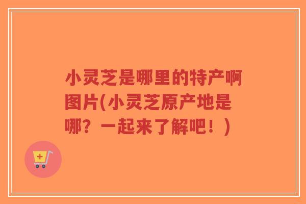 小灵芝是哪里的特产啊图片(小灵芝原产地是哪?一起来了解吧!)-第1张图片-超越 小灵芝是哪里的特产啊图片(小灵芝原产地是哪?一起来了解吧!)-第1张图片-超越