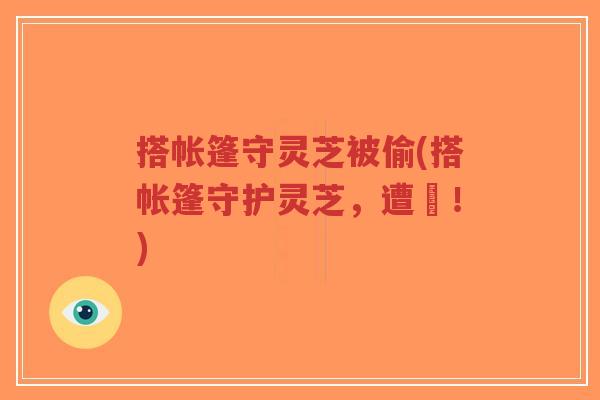 搭帐篷守灵芝被偷(搭帐篷守护灵芝,遭竊!)-第1张图片-超越 搭帐篷守灵芝被偷(搭帐篷守护灵芝,遭竊!)-第1张图片-超越