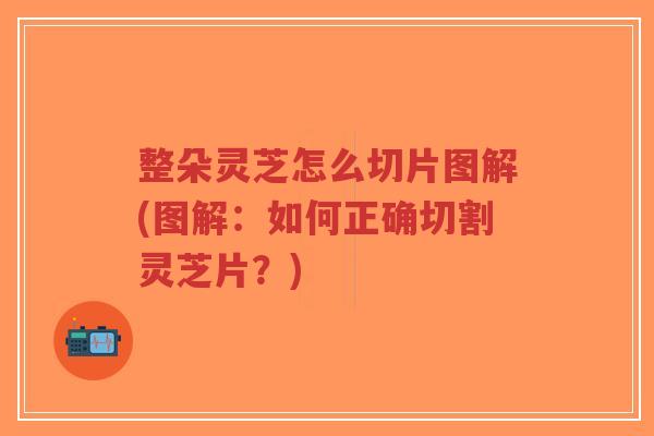 整朵灵芝怎么切片图解(图解：如何正确切割灵芝片？)-第1张图片-超越