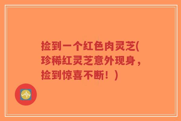捡到一个红色肉灵芝(珍稀红灵芝意外现身,捡到惊喜不断!)-第1张图片-超越 捡到一个红色肉灵芝(珍稀红灵芝意外现身,捡到惊喜不断!)-第1张图片-超越