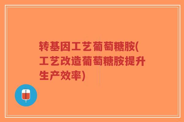 转基因工艺葡萄糖胺(工艺改造葡萄糖胺提升生产效率)-第1张图片-超越 转基因工艺葡萄糖胺(工艺改造葡萄糖胺提升生产效率)-第1张图片-超越