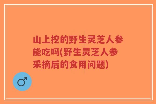 山上挖的野生灵芝人参能吃吗(野生灵芝人参采摘后的食用问题)-第1张图片-超越