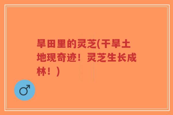 旱田里的灵芝(干旱土地现奇迹!灵芝生长成林!)-第1张图片-超越 旱田里的灵芝(干旱土地现奇迹!灵芝生长成林!)-第1张图片-超越