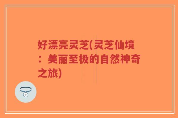好漂亮灵芝(灵芝仙境:美丽至极的自然神奇之旅)-第1张图片-超越 好漂亮灵芝(灵芝仙境:美丽至极的自然神奇之旅)-第1张图片-超越