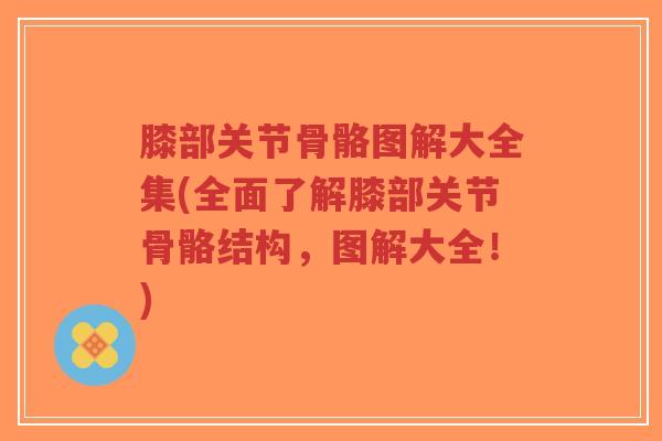 膝部关节骨骼图解大全集(全面了解膝部关节骨骼结构,图解大全!)-第1张图片-超越 膝部关节骨骼图解大全集(全面了解膝部关节骨骼结构,图解大全!)-第1张图片-超越
