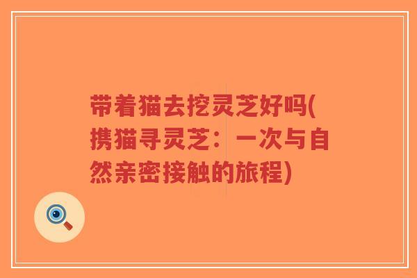 带着猫去挖灵芝好吗(携猫寻灵芝:一次与自然亲密接触的旅程)-第1张图片-超越 带着猫去挖灵芝好吗(携猫寻灵芝:一次与自然亲密接触的旅程)-第1张图片-超越