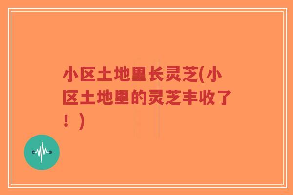 小区土地里长灵芝(小区土地里的灵芝丰收了!)-第1张图片-超越 小区土地里长灵芝(小区土地里的灵芝丰收了!)-第1张图片-超越