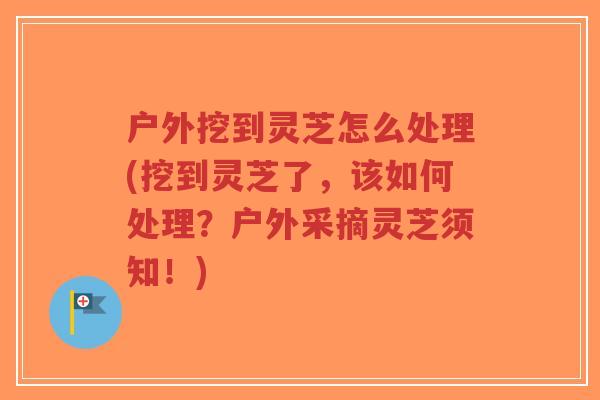 户外挖到灵芝怎么处理(挖到灵芝了,该如何处理?户外采摘灵芝须知!)-第1张图片-超越 户外挖到灵芝怎么处理(挖到灵芝了,该如何处理?户外采摘灵芝须知!)-第1张图片-超越