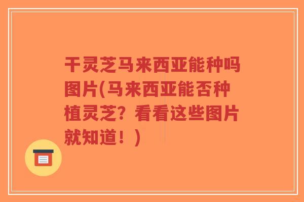 干灵芝马来西亚能种吗图片(马来西亚能否种植灵芝?看看这些图片就知道!)-第1张图片-超越 干灵芝马来西亚能种吗图片(马来西亚能否种植灵芝?看看这些图片就知道!)-第1张图片-超越