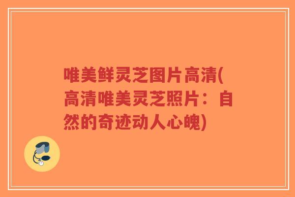 唯美鲜灵芝图片高清(高清唯美灵芝照片：自然的奇迹动人心魄)-第1张图片-超越