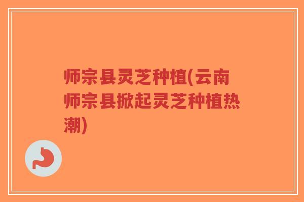 师宗县灵芝种植(云南师宗县掀起灵芝种植热潮)-第1张图片-超越