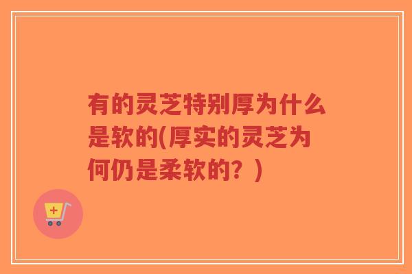 有的灵芝特别厚为什么是软的(厚实的灵芝为何仍是柔软的?)-第1张图片-超越 有的灵芝特别厚为什么是软的(厚实的灵芝为何仍是柔软的?)-第1张图片-超越