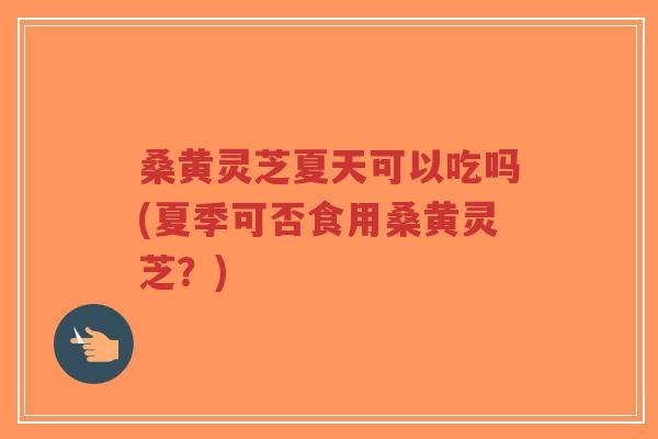 桑黄灵芝夏天可以吃吗(夏季可否食用桑黄灵芝?)-第1张图片-超越 桑黄灵芝夏天可以吃吗(夏季可否食用桑黄灵芝?)-第1张图片-超越