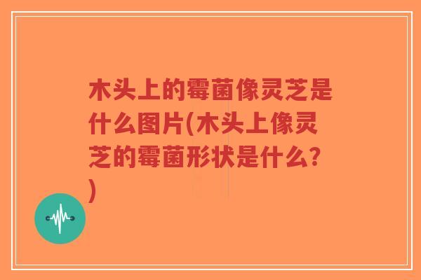 木头上的霉菌像灵芝是什么图片(木头上像灵芝的霉菌形状是什么?)-第1张图片-超越 木头上的霉菌像灵芝是什么图片(木头上像灵芝的霉菌形状是什么?)-第1张图片-超越
