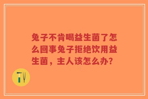 兔子不肯喝益生菌了怎么回事兔子拒绝饮用益生菌,主人该怎么办?-第1张图片-超越 兔子不肯喝益生菌了怎么回事兔子拒绝饮用益生菌,主人该怎么办?-第1张图片-超越