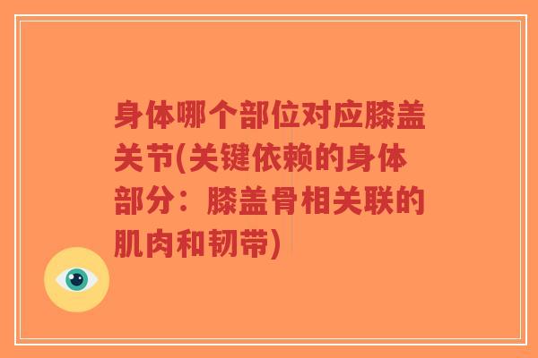 身体哪个部位对应膝盖关节(关键依赖的身体部分:膝盖骨相关联的肌肉和韧带)-第1张图片-超越 身体哪个部位对应膝盖关节(关键依赖的身体部分:膝盖骨相关联的肌肉和韧带)-第1张图片-超越