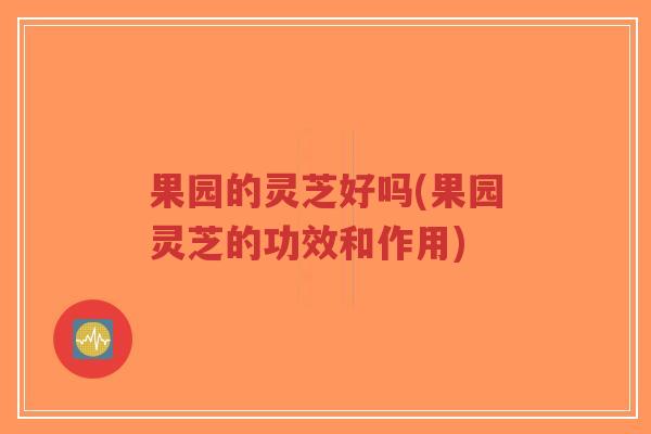 果园的灵芝好吗(果园灵芝的功效和作用)-第1张图片-超越