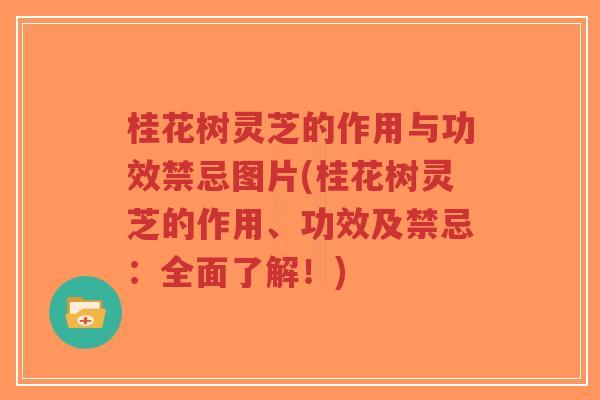 桂花树灵芝的作用与功效禁忌图片(桂花树灵芝的作用、功效及禁忌:全面了解!)-第1张图片-超越 桂花树灵芝的作用与功效禁忌图片(桂花树灵芝的作用、功效及禁忌:全面了解!)-第1张图片-超越