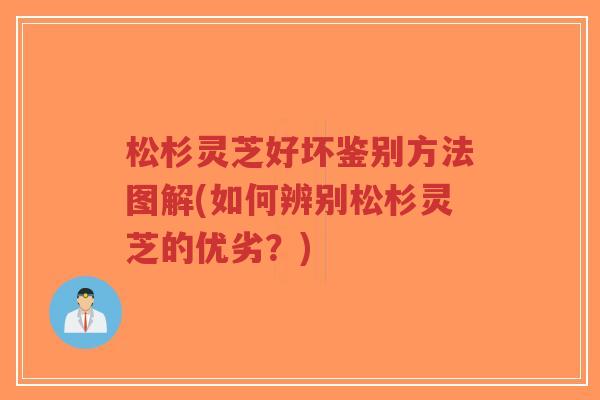 松杉灵芝好坏鉴别方法图解(如何辨别松杉灵芝的优劣?)-第1张图片-超越 松杉灵芝好坏鉴别方法图解(如何辨别松杉灵芝的优劣?)-第1张图片-超越