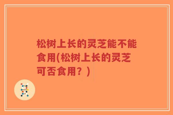 松树上长的灵芝能不能食用(松树上长的灵芝可否食用?)-第1张图片-超越 松树上长的灵芝能不能食用(松树上长的灵芝可否食用?)-第1张图片-超越