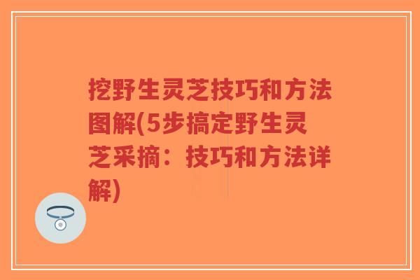 挖野生灵芝技巧和方法图解(5步搞定野生灵芝采摘:技巧和方法详解)-第1张图片-超越 挖野生灵芝技巧和方法图解(5步搞定野生灵芝采摘:技巧和方法详解)-第1张图片-超越