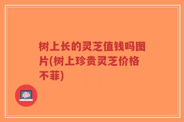 树上长的灵芝值钱吗图片(树上珍贵灵芝价格不菲)-第1张图片-超越 树上长的灵芝值钱吗图片(树上珍贵灵芝价格不菲)-第1张图片-超越