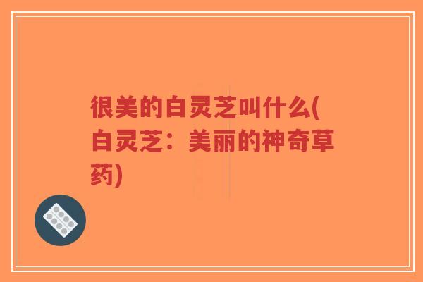 很美的白灵芝叫什么(白灵芝:美丽的神奇草药)-第1张图片-超越 很美的白灵芝叫什么(白灵芝:美丽的神奇草药)-第1张图片-超越