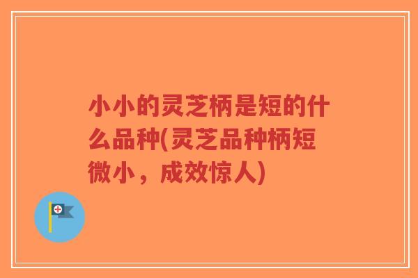 小小的灵芝柄是短的什么品种(灵芝品种柄短微小,成效惊人)-第1张图片-超越 小小的灵芝柄是短的什么品种(灵芝品种柄短微小,成效惊人)-第1张图片-超越