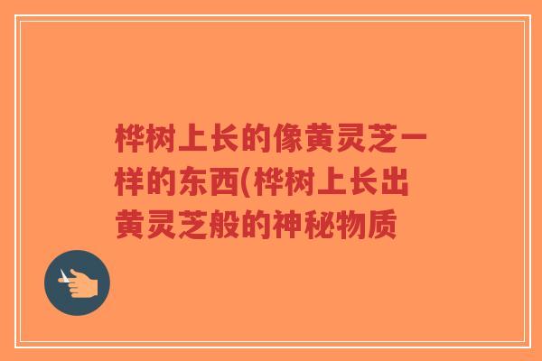 桦树上长的像黄灵芝一样的东西(桦树上长出黄灵芝般的神秘物质-第1张图片-超越 桦树上长的像黄灵芝一样的东西(桦树上长出黄灵芝般的神秘物质-第1张图片-超越