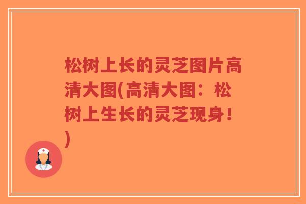松树上长的灵芝图片高清大图(高清大图:松树上生长的灵芝现身!)-第1张图片-超越 松树上长的灵芝图片高清大图(高清大图:松树上生长的灵芝现身!)-第1张图片-超越