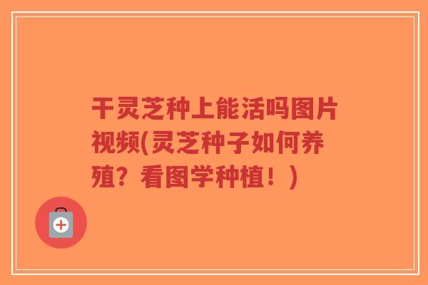干灵芝种上能活吗图片视频(灵芝种子如何养殖?看图学种植!)-第1张图片-超越 干灵芝种上能活吗图片视频(灵芝种子如何养殖?看图学种植!)-第1张图片-超越