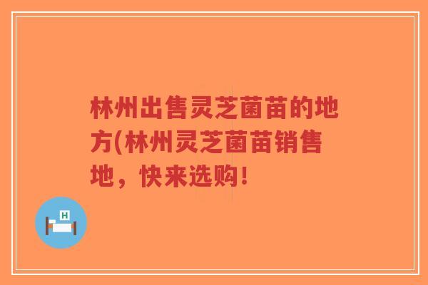 林州出售灵芝菌苗的地方(林州灵芝菌苗销售地,快来选购!-第1张图片-超越 林州出售灵芝菌苗的地方(林州灵芝菌苗销售地,快来选购!-第1张图片-超越