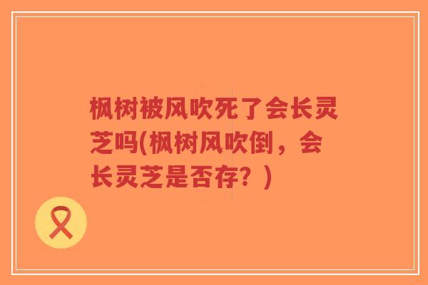 枫树被风吹死了会长灵芝吗(枫树风吹倒,会长灵芝是否存?)-第1张图片-超越 枫树被风吹死了会长灵芝吗(枫树风吹倒,会长灵芝是否存?)-第1张图片-超越