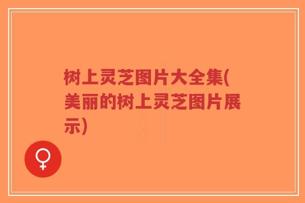 树上灵芝图片大全集(美丽的树上灵芝图片展示)-第1张图片-超越 树上灵芝图片大全集(美丽的树上灵芝图片展示)-第1张图片-超越