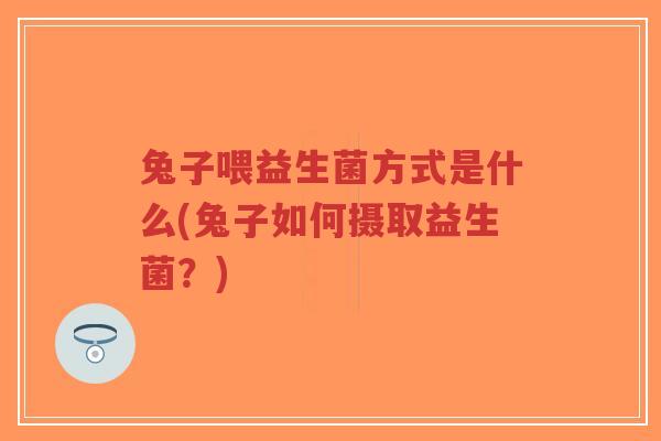 兔子喂益生菌方式是什么(兔子如何摄取益生菌?)-第1张图片-超越 兔子喂益生菌方式是什么(兔子如何摄取益生菌?)-第1张图片-超越