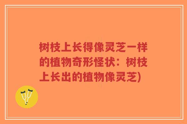 树枝上长得像灵芝一样的植物奇形怪状:树枝上长出的植物像灵芝)-第1张图片-超越 树枝上长得像灵芝一样的植物奇形怪状:树枝上长出的植物像灵芝)-第1张图片-超越