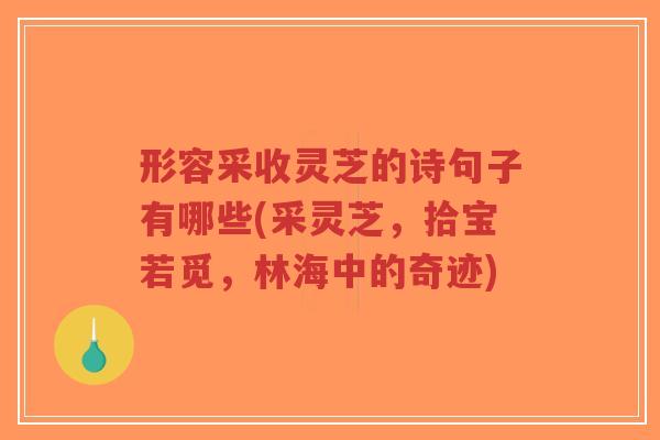 形容采收灵芝的诗句子有哪些(采灵芝,拾宝若觅,林海中的奇迹)-第1张图片-超越 形容采收灵芝的诗句子有哪些(采灵芝,拾宝若觅,林海中的奇迹)-第1张图片-超越