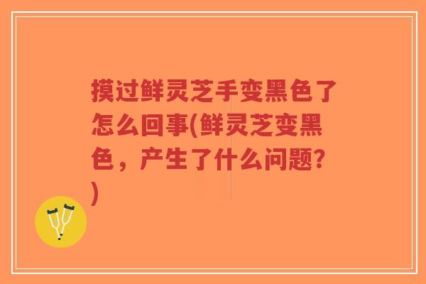 摸过鲜灵芝手变黑色了怎么回事(鲜灵芝变黑色,产生了什么问题?)-第1张图片-超越 摸过鲜灵芝手变黑色了怎么回事(鲜灵芝变黑色,产生了什么问题?)-第1张图片-超越