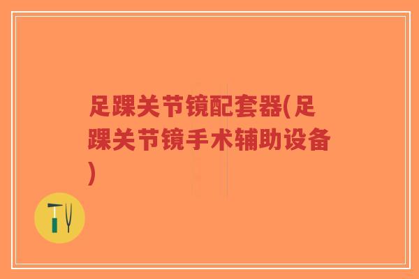 足踝关节镜配套器(足踝关节镜手术辅助设备)-第1张图片-超越 足踝关节镜配套器(足踝关节镜手术辅助设备)-第1张图片-超越