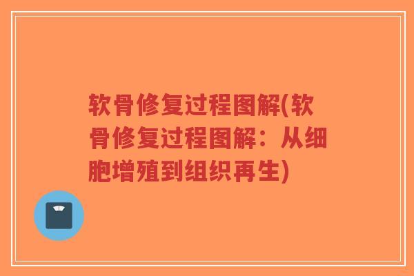 软骨修复过程图解(软骨修复过程图解:从细胞增殖到组织再生)-第1张图片-超越 软骨修复过程图解(软骨修复过程图解:从细胞增殖到组织再生)-第1张图片-超越