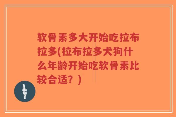 软骨素多大开始吃拉布拉多(拉布拉多犬狗什么年龄开始吃软骨素比较合适?)-第1张图片-超越 软骨素多大开始吃拉布拉多(拉布拉多犬狗什么年龄开始吃软骨素比较合适?)-第1张图片-超越