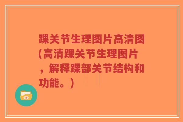 踝关节生理图片高清图(高清踝关节生理图片,解释踝部关节结构和功能。)-第1张图片-超越 踝关节生理图片高清图(高清踝关节生理图片,解释踝部关节结构和功能。)-第1张图片-超越