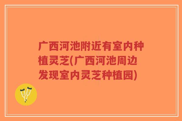 广西河池附近有室内种植灵芝(广西河池周边发现室内灵芝种植园)-第1张图片-超越