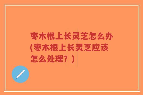 枣木根上长灵芝怎么办(枣木根上长灵芝应该怎么处理?)-第1张图片-超越 枣木根上长灵芝怎么办(枣木根上长灵芝应该怎么处理?)-第1张图片-超越