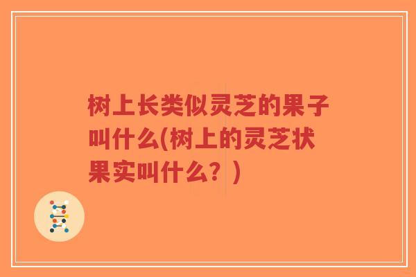 树上长类似灵芝的果子叫什么(树上的灵芝状果实叫什么?)-第1张图片-超越 树上长类似灵芝的果子叫什么(树上的灵芝状果实叫什么?)-第1张图片-超越