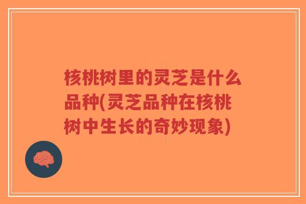 核桃树里的灵芝是什么品种(灵芝品种在核桃树中生长的奇妙现象)-第1张图片-超越 核桃树里的灵芝是什么品种(灵芝品种在核桃树中生长的奇妙现象)-第1张图片-超越