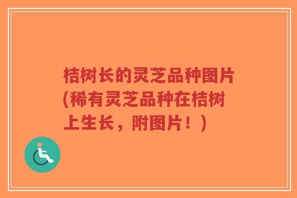 桔树长的灵芝品种图片(稀有灵芝品种在桔树上生长,附图片!)-第1张图片-超越 桔树长的灵芝品种图片(稀有灵芝品种在桔树上生长,附图片!)-第1张图片-超越