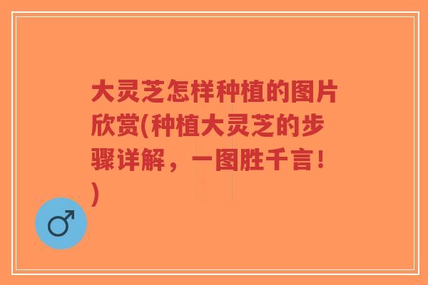 大灵芝怎样种植的图片欣赏(种植大灵芝的步骤详解，一图胜千言！)-第1张图片-超越