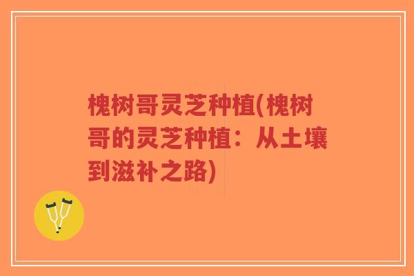 槐树哥灵芝种植(槐树哥的灵芝种植:从土壤到滋补之路)-第1张图片-超越 槐树哥灵芝种植(槐树哥的灵芝种植:从土壤到滋补之路)-第1张图片-超越